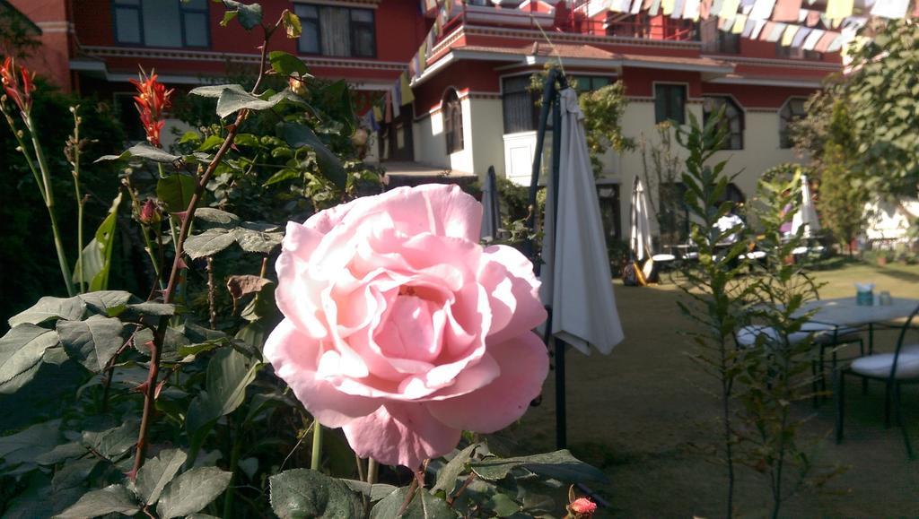 Rokpa Guest House Kathmandu Exterior foto